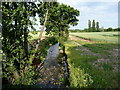 Tributary of the Black Brook, near Ashcroft Farm