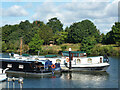 Moored boats, Thames Ditton