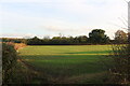 Field by Moonshine Gap, Hardwick