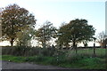 Field by Washbrook Lane, Ecton