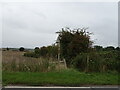 Footpath off Moor Lane