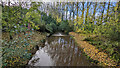 Cound Brook from Boreton Bridge