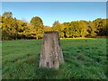 Denton Lodge Trig Pillar