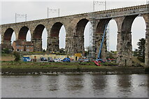 NT9953 : Repairs  to  the  Royal  Border  Bridge by Martin Dawes