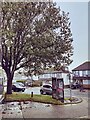 Telephone Box, Rowan Avenue