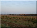 Stubble field towards railway embankment - off Ambury Lane