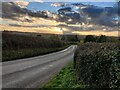 Arley Lane towards Upper Arley