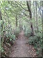 ST6303 : Path on Gore Hill by Richard Webb