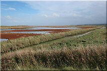 TG0644 : Arnold's Marsh, Cley Marshes by Hugh Venables