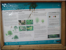 TQ1342 : Information Board at Windy Gap Car Park by David Hillas