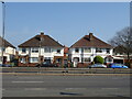 Houses on Millbrook Road West