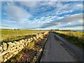 Country Lane near Dunbeath, Caithness