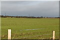 Romney Marsh farmland