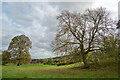 Fields above the River Ure near Carperby