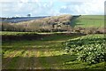 Farmland, Kenwyn