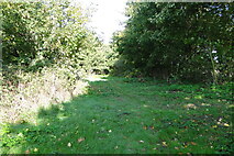 TM5397 : A small clearing on an overgrown footpath by Adrian S Pye