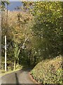 Road towards Bryn Marlais