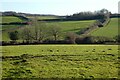 Pasture, St Stephen-in-Brannel