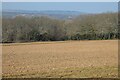 Farmland, Mylor