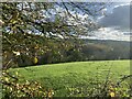 View over the Cothi valley