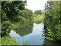 River Mole looking downstream