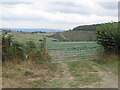 View towards Old Mill Wood