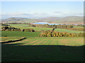 Field south-west of Newburgh