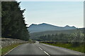 A832, eastbound