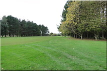 TG5201 : Gorleston Golf Club practice range by Adrian S Pye