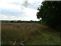 Track and field off Pavenham Road