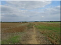 Footpath to Farndish off Irchester Road (B569)