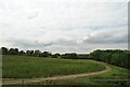 TL0058 : Crop field and farm track, Moor End by JThomas