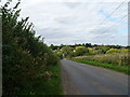 Doddington Road towards Wilby