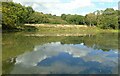 Ellesmere Lake