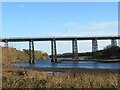 Flock of feral pigeons over railway bridge over the River Wansbeck