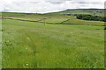 Footpath towards Dove Holes