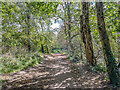 Alongside the River Wandle