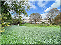 Ravensbury Park Lake