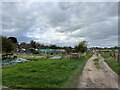 Coton Fields Allotments