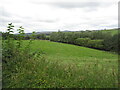 Field near Howwood