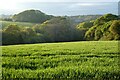 Farmland, Kea