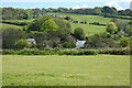 Pasture, Gwennap