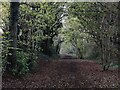 Path along a former railway line