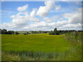 Field south west of Scarcliffe