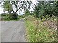 Road above Mill of Beith