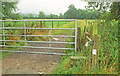 Gate near Norton Grounds Farm