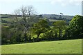 Pasture, Probus