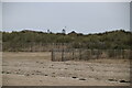 Dunes, Greatstone on Sea