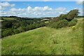 Pasture, Probus