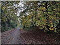 Former railway line near Leapgate